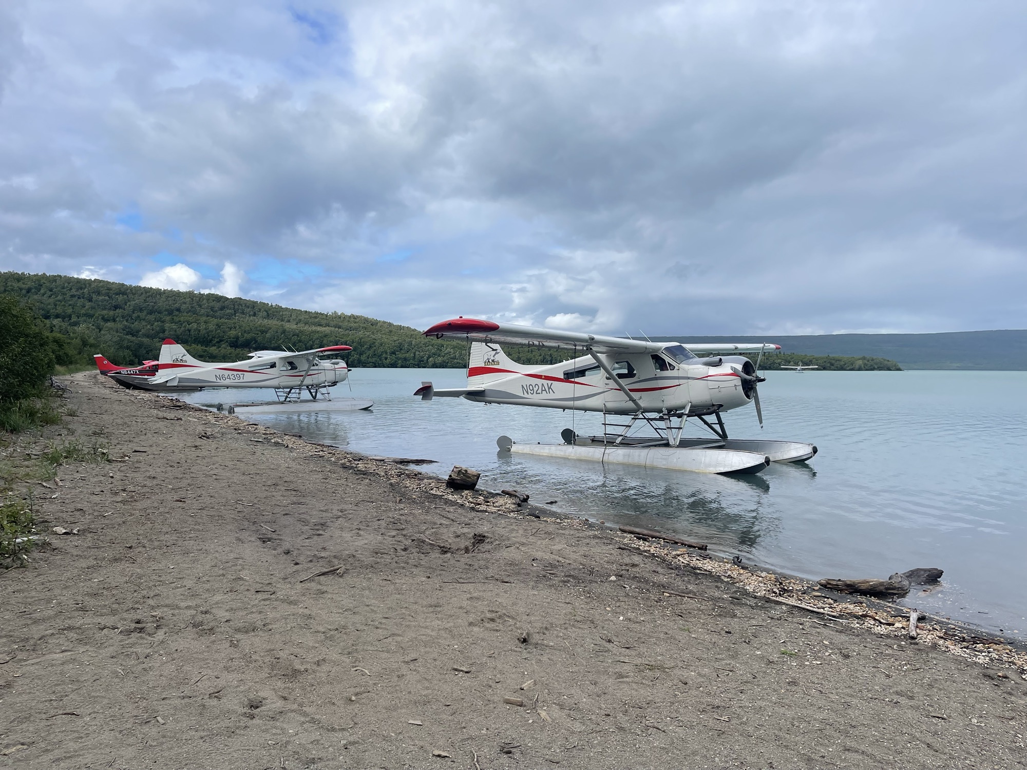 Alaska Ultimate Safaris Beaver floatplanes resting on the water beside a lake shore